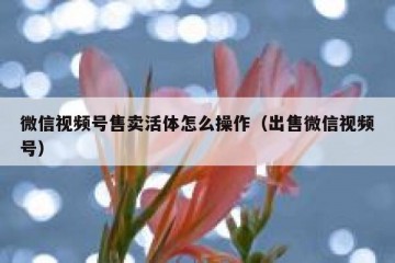 微信视频号售卖活体怎么操作（出售微信视频号）