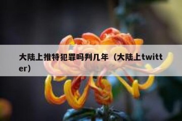 大陆上推特犯罪吗判几年（大陆上twitter）