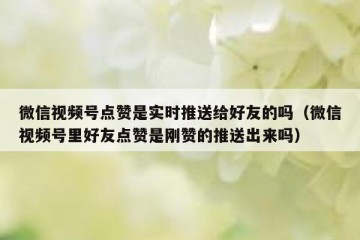 微信视频号点赞是实时推送给好友的吗（微信视频号里好友点赞是刚赞的推送出来吗）