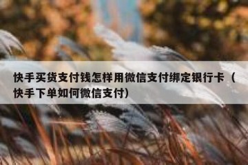 快手买货支付钱怎样用微信支付绑定银行卡（快手下单如何微信支付）
