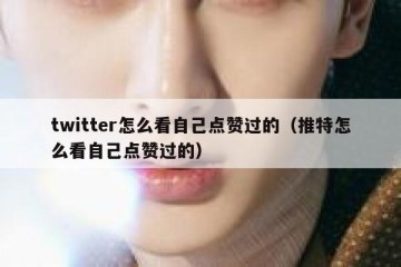 twitter怎么看自己点赞过的（推特怎么看自己点赞过的）