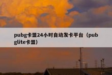 pubg卡盟24小时自动发卡平台（pubglite卡盟）