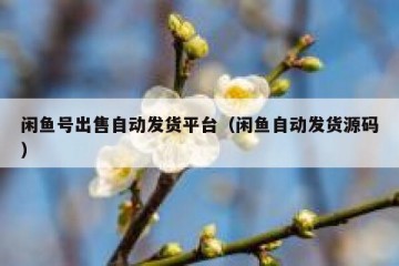 闲鱼号出售自动发货平台（闲鱼自动发货源码）