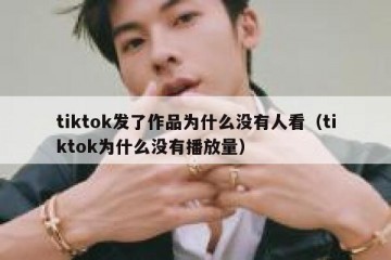 tiktok发了作品为什么没有人看（tiktok为什么没有播放量）