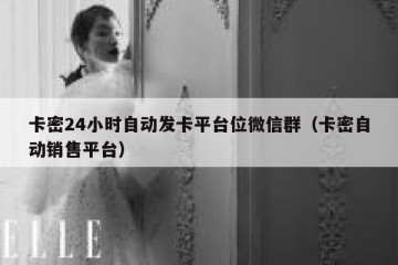 卡密24小时自动发卡平台位微信群（卡密自动销售平台）