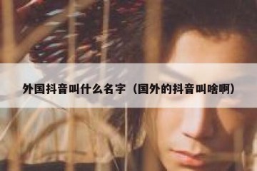 外国抖音叫什么名字（国外的抖音叫啥啊）