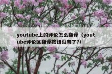 youtube上的评论怎么翻译（youtube评论区翻译按钮没有了?）