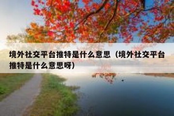 境外社交平台推特是什么意思（境外社交平台推特是什么意思呀）