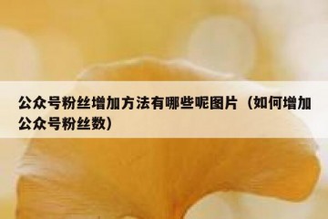 公众号粉丝增加方法有哪些呢图片（如何增加公众号粉丝数）