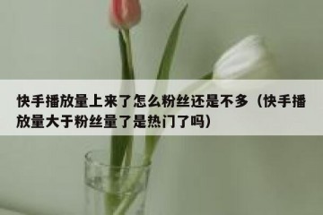 快手播放量上来了怎么粉丝还是不多（快手播放量大于粉丝量了是热门了吗）