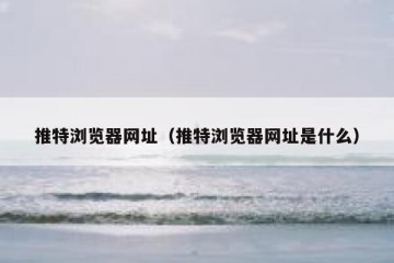 推特浏览器网址（推特浏览器网址是什么）