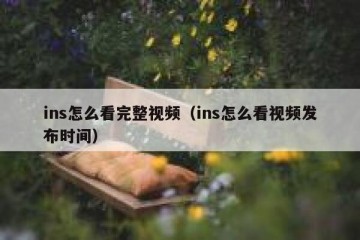 ins怎么看完整视频（ins怎么看视频发布时间）