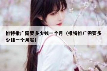 推特推广需要多少钱一个月（推特推广需要多少钱一个月呢）