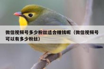 微信视频号多少粉丝适合赚钱呢（微信视频号可以有多少粉丝）