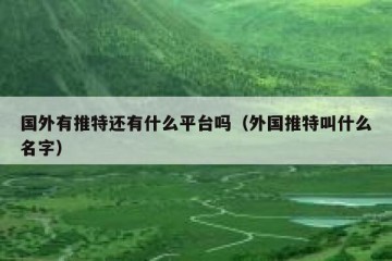 国外有推特还有什么平台吗（外国推特叫什么名字）