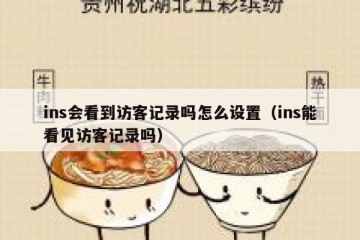 ins会看到访客记录吗怎么设置（ins能看见访客记录吗）