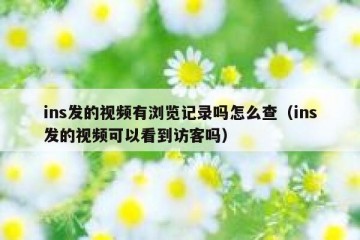 ins发的视频有浏览记录吗怎么查（ins发的视频可以看到访客吗）
