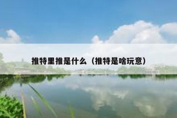 推特里推是什么（推特是啥玩意）