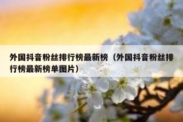 外国抖音粉丝排行榜最新榜（外国抖音粉丝排行榜最新榜单图片）