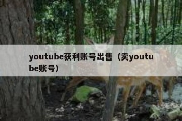 youtube获利账号出售（卖youtube账号）