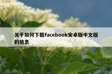 关于如何下载facebook安卓版中文版的信息