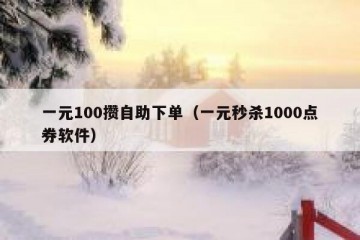 一元100攒自助下单（一元秒杀1000点券软件）