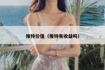 推特价值（推特有收益吗）