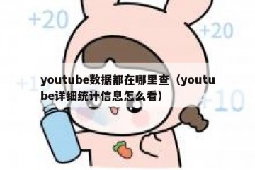 youtube数据都在哪里查（youtube详细统计信息怎么看）