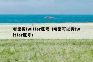 哪里买twitter账号（哪里可以买twitter账号）