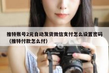 推特账号2元自动发货微信支付怎么设置密码（推特付款怎么付）