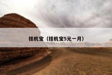 挂机宝（挂机宝5元一月）