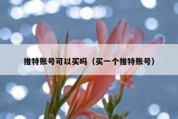 推特账号可以买吗（买一个推特账号）