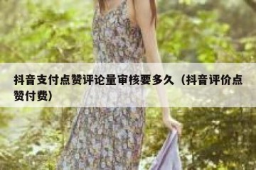 抖音支付点赞评论量审核要多久（抖音评价点赞付费）