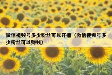 微信视频号多少粉丝可以开播（微信视频号多少粉丝可以赚钱）