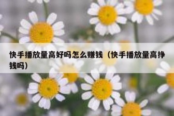 快手播放量高好吗怎么赚钱（快手播放量高挣钱吗）