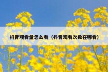 抖音观看量怎么看（抖音观看次数在哪看）