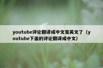 youtube评论翻译成中文变英文了（youtube下面的评论翻译成中文）