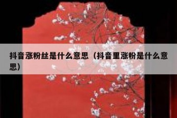 抖音涨粉丝是什么意思（抖音里涨粉是什么意思）