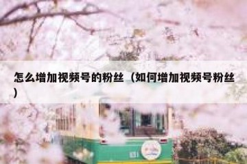 怎么增加视频号的粉丝（如何增加视频号粉丝）