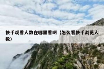 快手观看人数在哪里看啊（怎么看快手浏览人数）