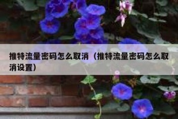 推特流量密码怎么取消（推特流量密码怎么取消设置）