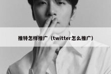 推特怎样推广（twitter怎么推广）
