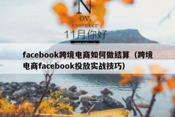 facebook跨境电商如何做结算（跨境电商facebook投放实战技巧）