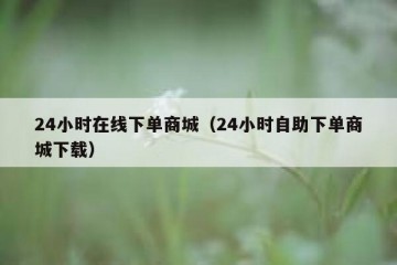 24小时在线下单商城（24小时自助下单商城下载）