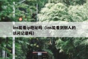 ins能看ip地址吗（ins能看到别人的访问记录吗）