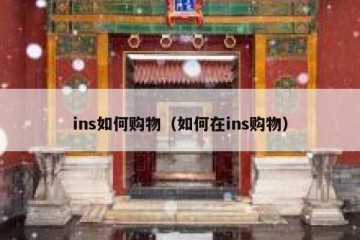ins如何购物（如何在ins购物）