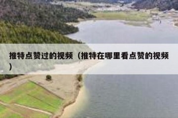 推特点赞过的视频（推特在哪里看点赞的视频）