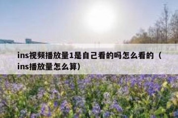 ins视频播放量1是自己看的吗怎么看的（ins播放量怎么算）