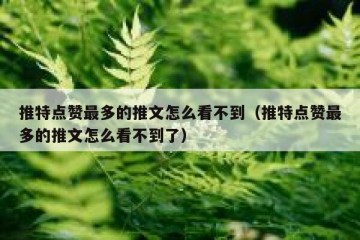 推特点赞最多的推文怎么看不到（推特点赞最多的推文怎么看不到了）