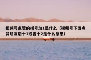 视频号点赞的括号加1是什么（视频号下面点赞朋友后十1或者十2是什么意思）